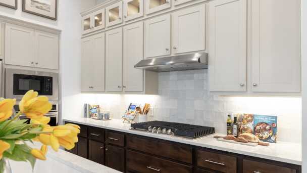 Representative Kitchen - some options shown <span data-tooltip tabindex=