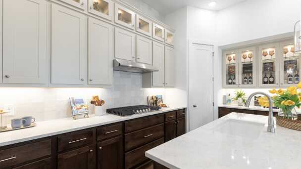 Representative Kitchen - some options shown <span data-tooltip tabindex=