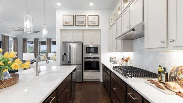 Representative Kitchen - some options shown <span data-tooltip tabindex=