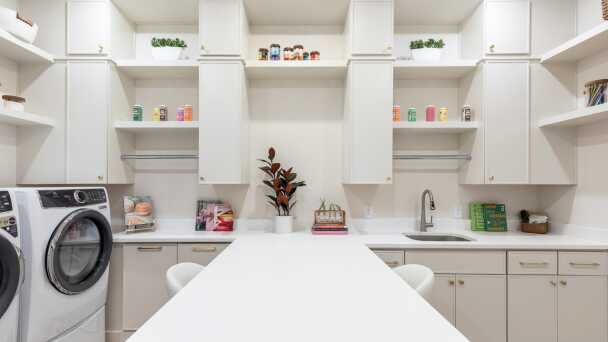 Representative Laundry Room - some options shown <span data-tooltip tabindex=