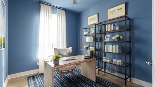 Representative Study - some options shown <span data-tooltip tabindex=