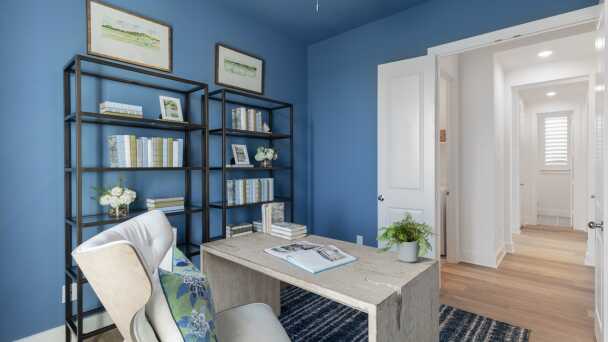 Representative Study - some options shown <span data-tooltip tabindex=