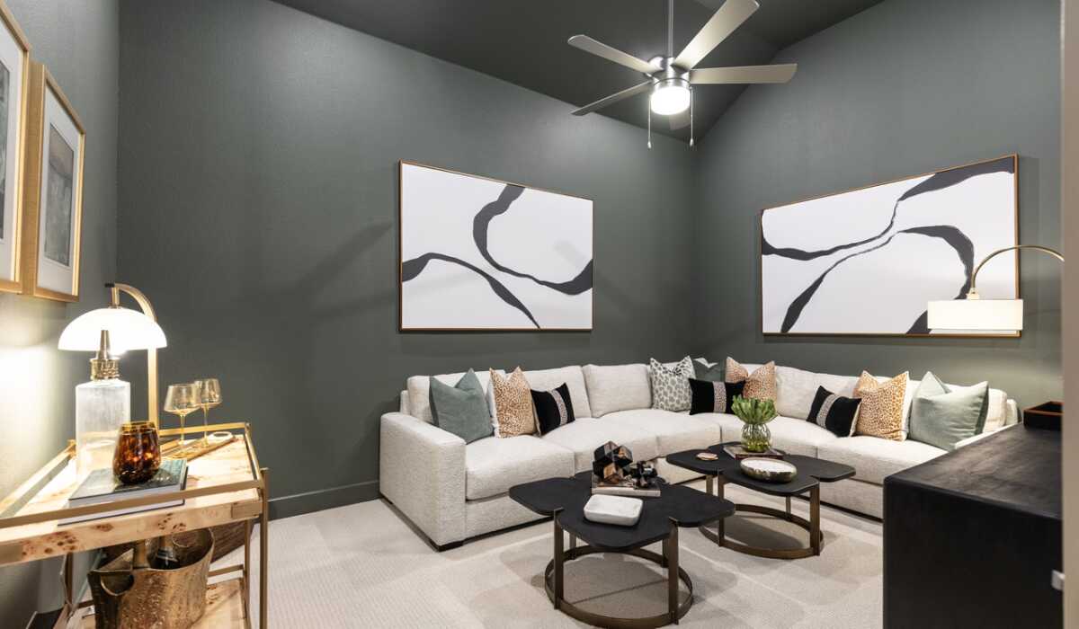 Entertainment Room