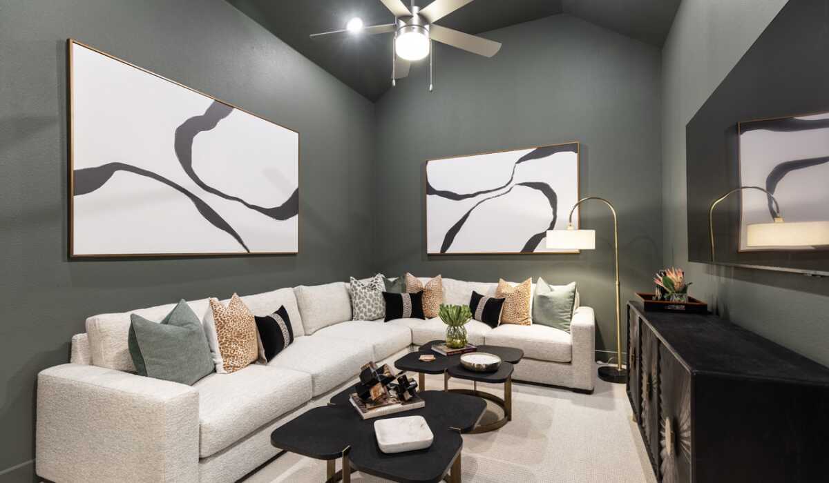 Entertainment Room