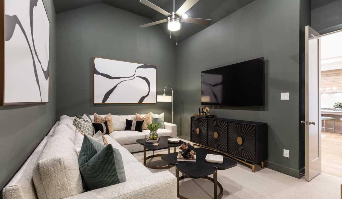 Entertainment Room