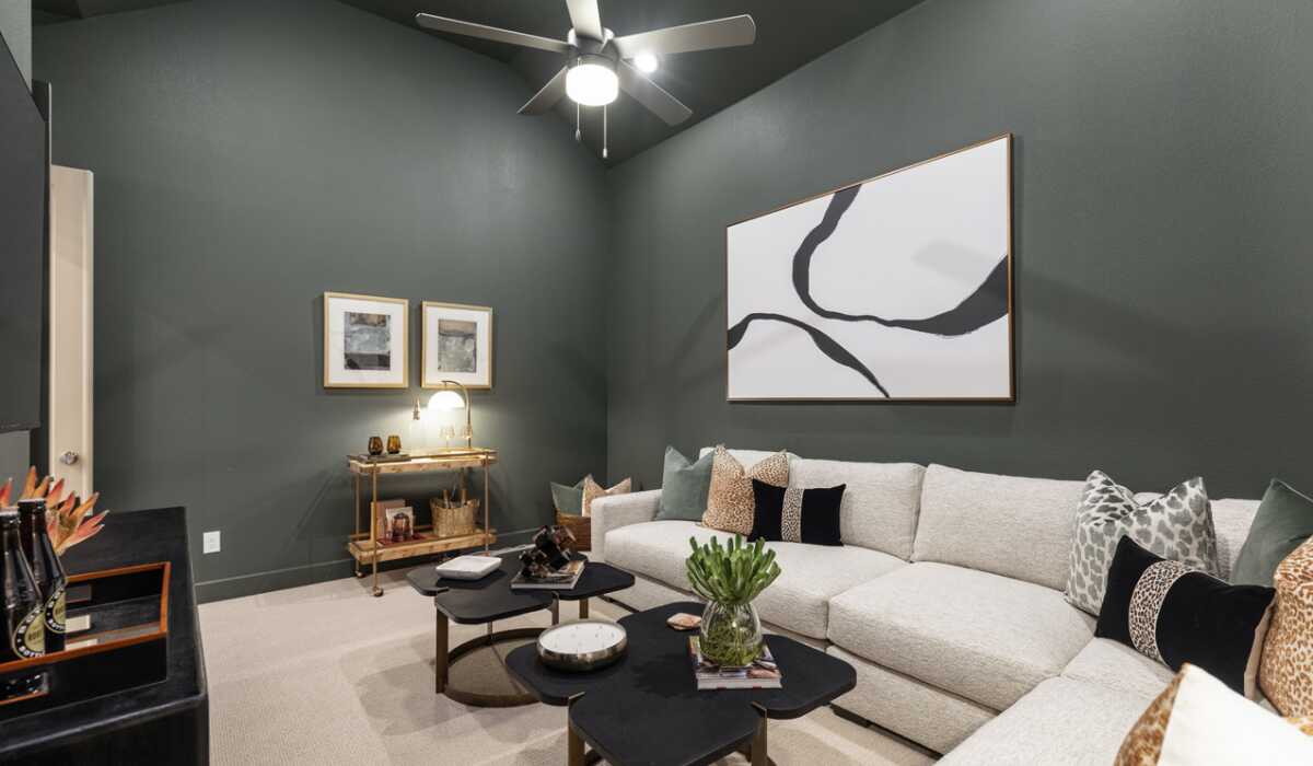 Entertainment Room