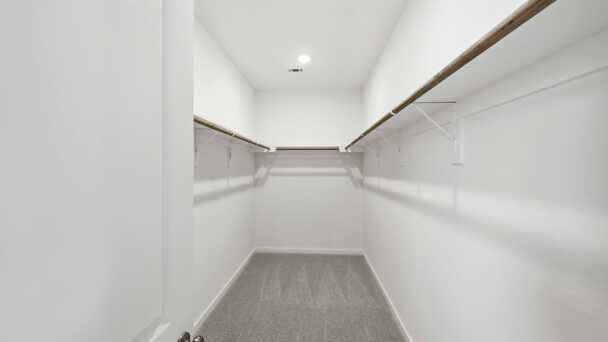 Representative Primary Closet - some options shown <span data-tooltip tabindex=