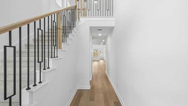 Representative Entry - some options shown <span data-tooltip tabindex=