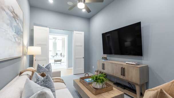 Entertainment Room