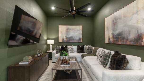 Entertainment Room