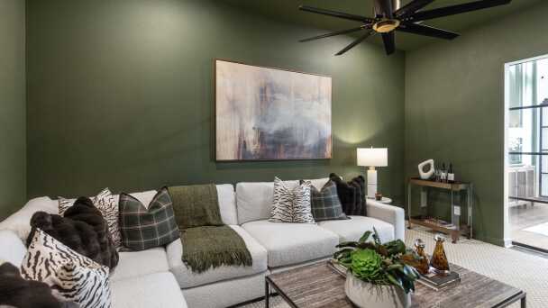 Entertainment Room