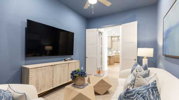 Entertainment Room