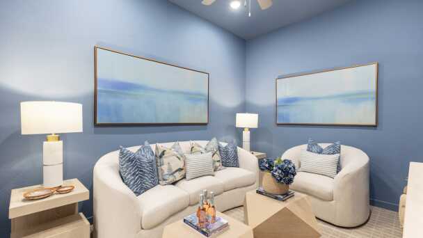 Entertainment Room