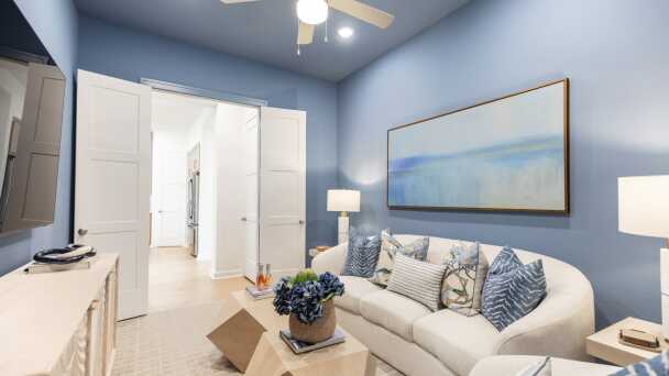 Entertainment Room
