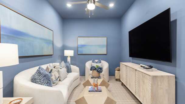 Entertainment Room