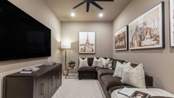 Entertainment Room