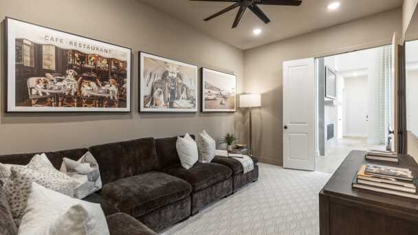 Entertainment Room