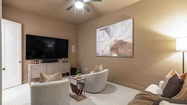 Entertainment Room
