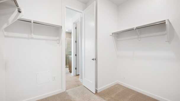 Primary Closet