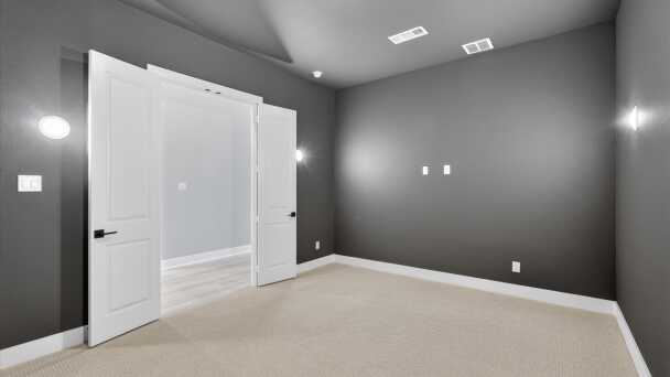 Entertainment Room
