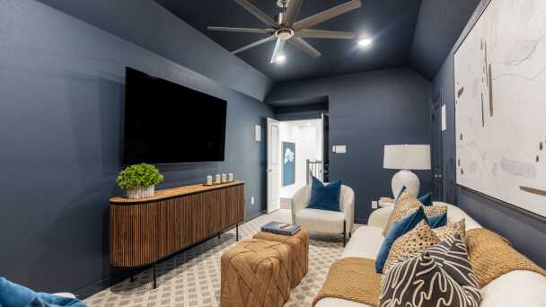 Entertainment Room