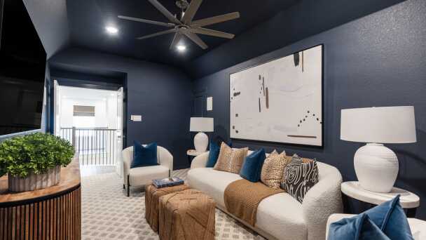Entertainment Room