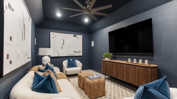 Entertainment Room