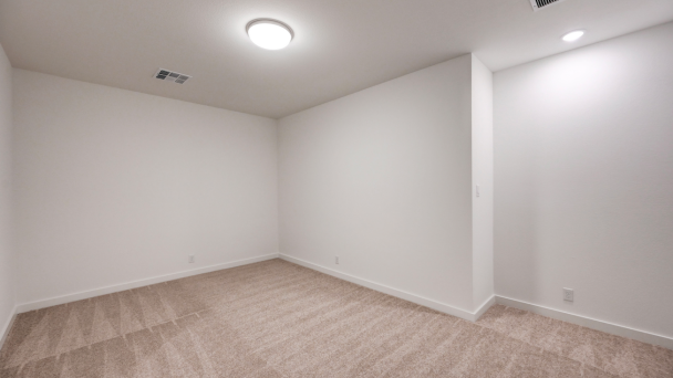 Entertainment Room