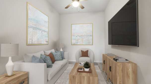 Entertainment Room