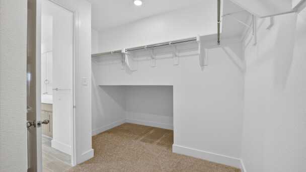 Primary Closet