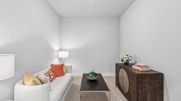 Entertainment Room