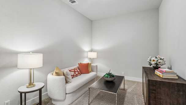 Entertainment Room