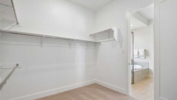 Primary Closet