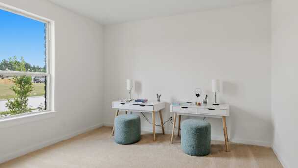Study