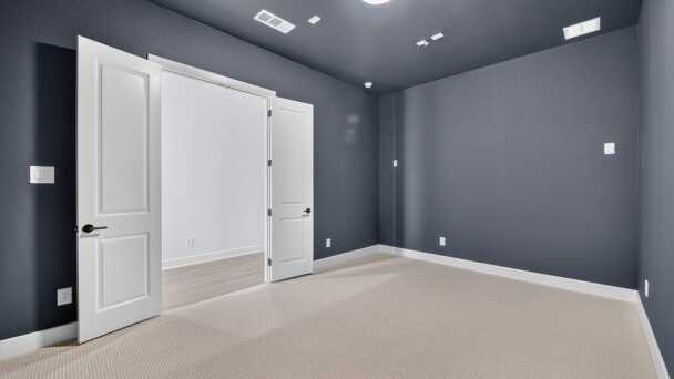 Entertainment Room