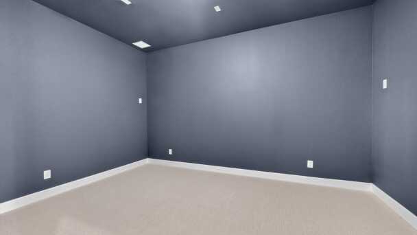 Entertainment Room