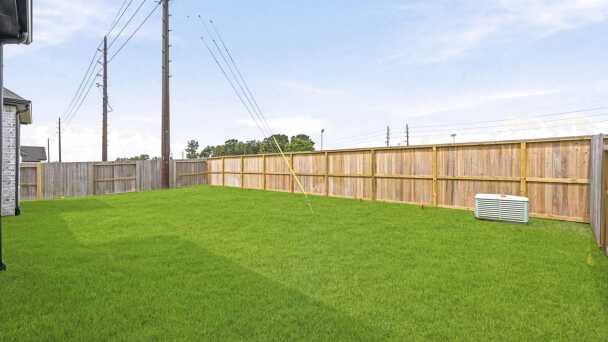 Backyard