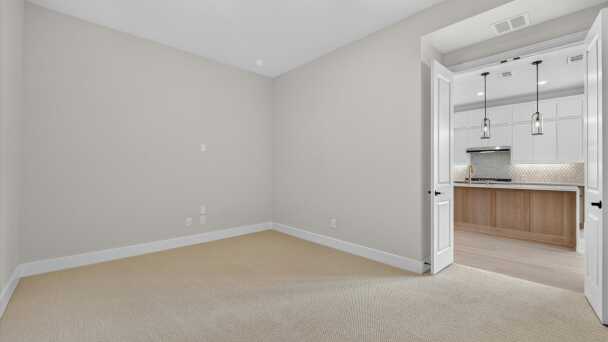Entertainment Room