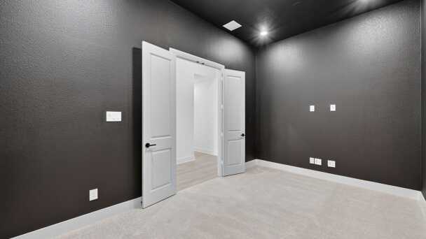 Entertainment Room