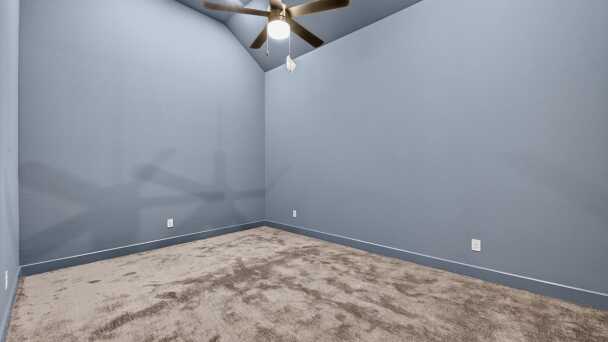 Entertainment Room