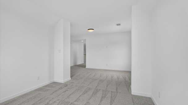 Entertainment Room