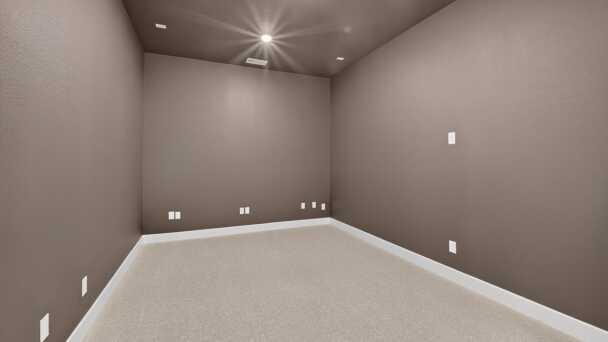 Entertainment Room