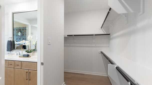 Primary Closet