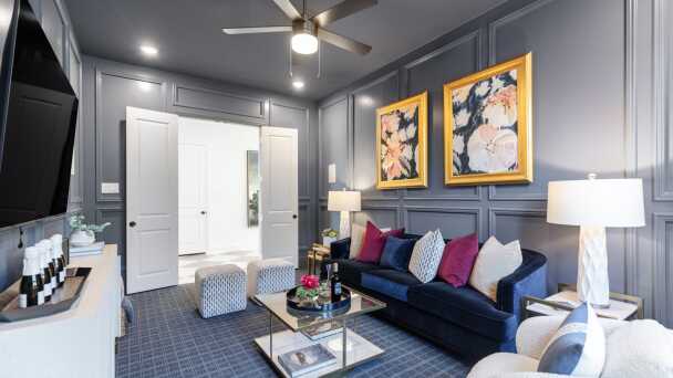 Entertainment Room