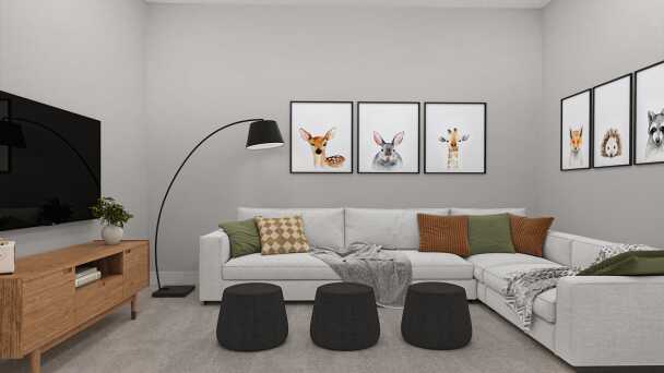 Entertainment Room