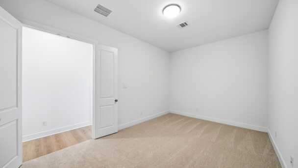 Entertainment Room