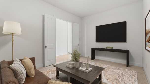 Entertainment Room