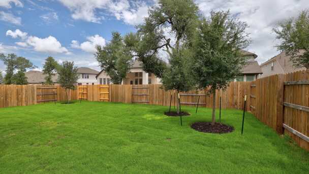 Backyard