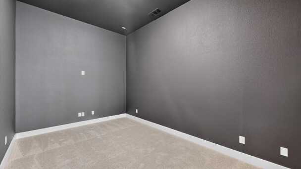 Entertainment Room