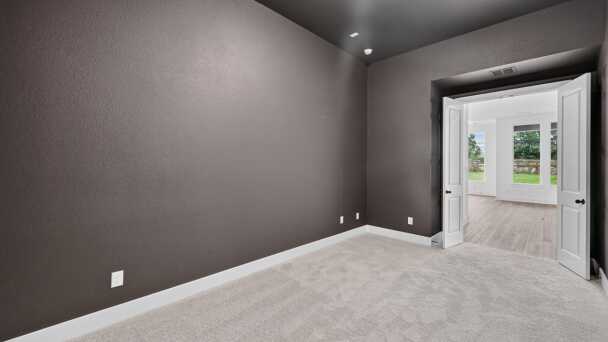 Entertainment Room